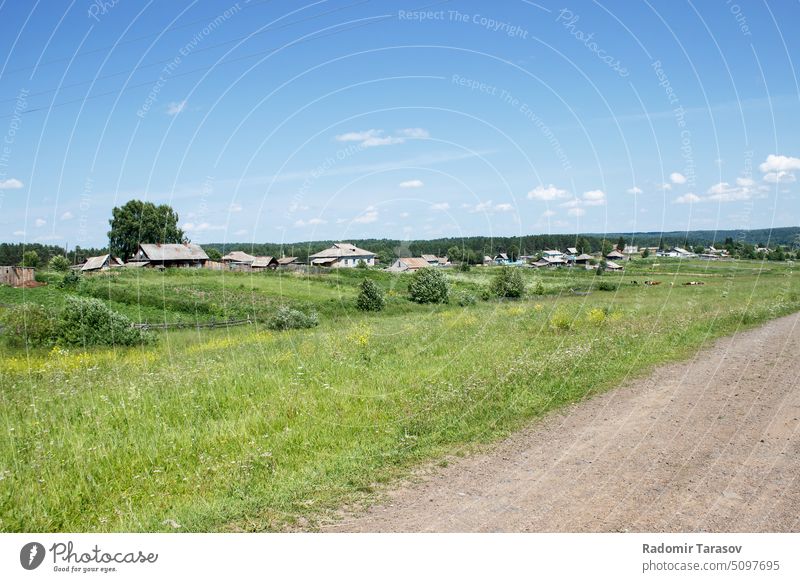 dirt road in the village siberia nature landscape grass rural tree outdoor green countryside way meadow cloud scenic path sky field summer blue empty