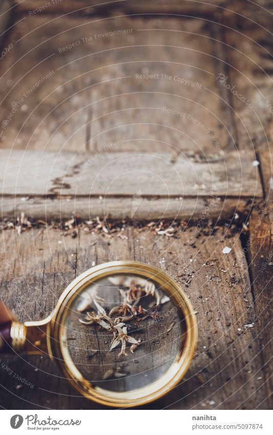 Retro wooden backgroun with a lens and a little white flowers clue vintage detective glass texture background investigation magnifying retro old grunge floral