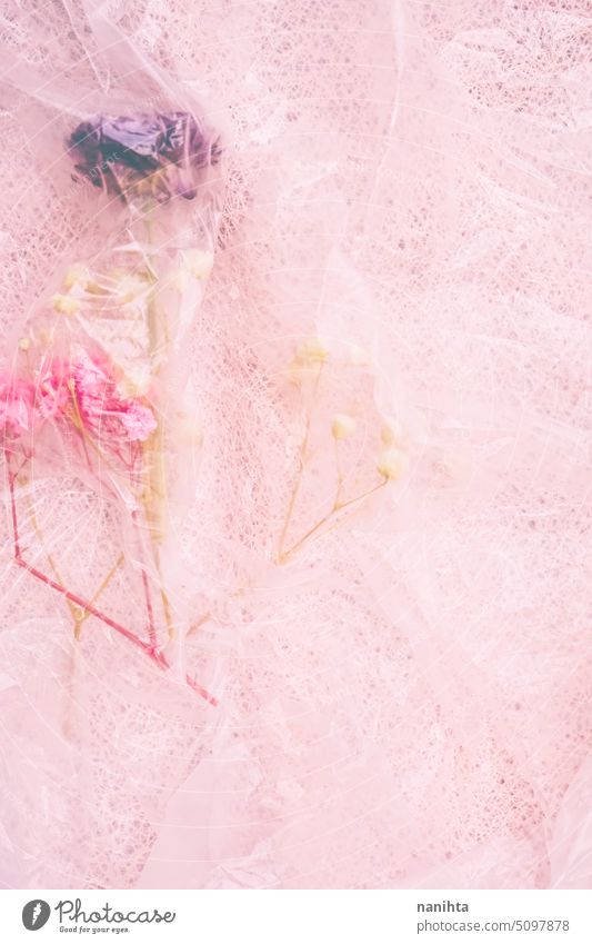 Floral background in pink tones with dried flowers and transparent plastic floral flat lay vertical romantic naive pastel colors love lovely dry decor