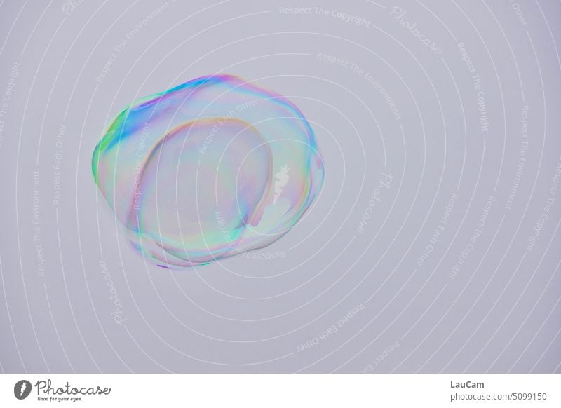 Contrast colorful soap bubble on gray sky Soap bubble soap bubbles Hover Flying variegated Easy Round Ease Glittering Transparent Dream Sky Infancy Sphere