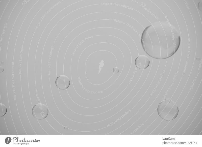 Round trip: Soap bubbles float in the gray sky soap bubbles Blow Flying Bursting dream dreams Bubble Sphere Sky grey sky Gray Gloomy Hover hovering