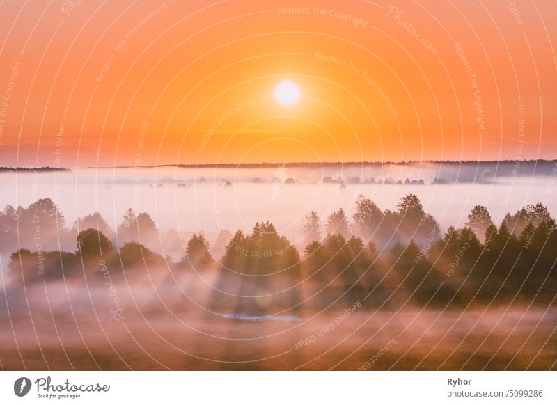 Amazing Sunrise Over Misty Landscape. Scenic View Of Foggy Morning Sky With Rising Sun Above Misty Forest. Middle Summer Nature Of Europe morning europe nature