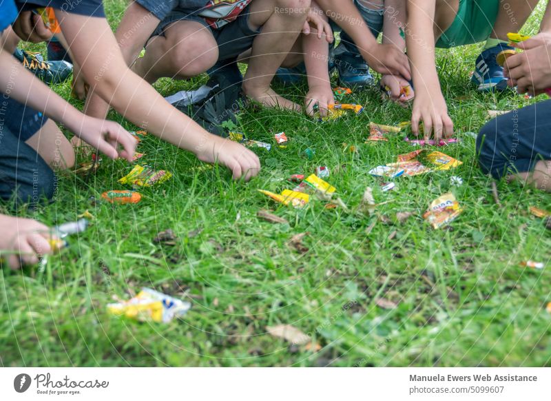 Children squat on a meadow and collect sweets from the ground children birthday reward candy game celebration party grass grab hands kids kneel