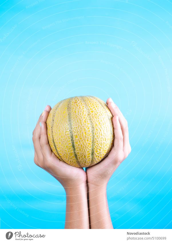 Hands of a girl holding a small round melon, isolated on blue background hands fruit isolates no face Fruit Melon Green Nutrition Fresh Food Deserted