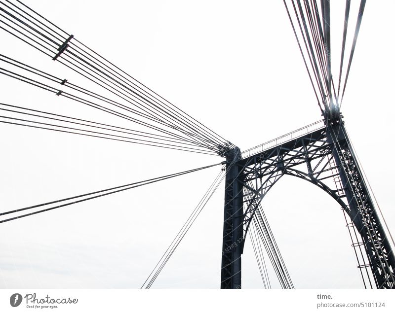 World on the wire Bridge ropes Architecture Manmade structures Traffic infrastructure Metal Steel cables Construction Construction art Tall Heavy functional