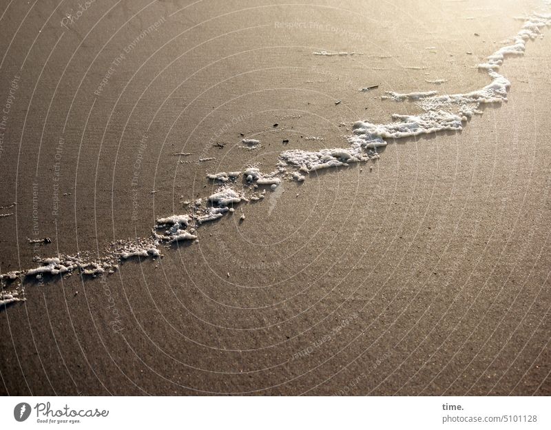 Foam & Sand | Lifelines Beach Relaxation Vacation & Travel coast Water lines Environment Landscape Back-light Line Foam flakes