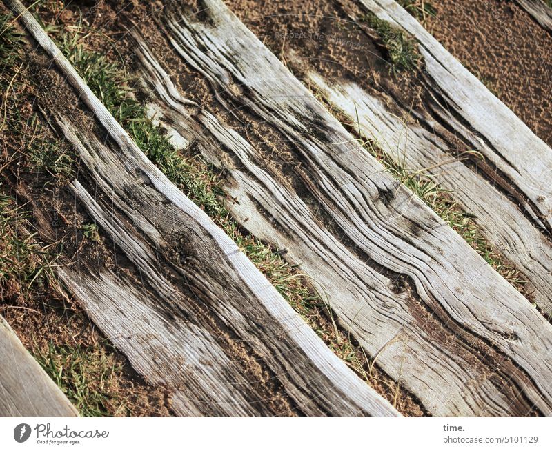 Wood and salt wind | Lifelines wooden staircase Stairs stair treads Weathered wooden beams Change Transience plants Wood grain Sand Diagonal Assigned Insecure