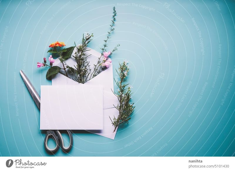 Floral wedding natural mockup with a white envelope filled with flowers floral background flat lay gardening blank blue spring springtime seasonal bouquet