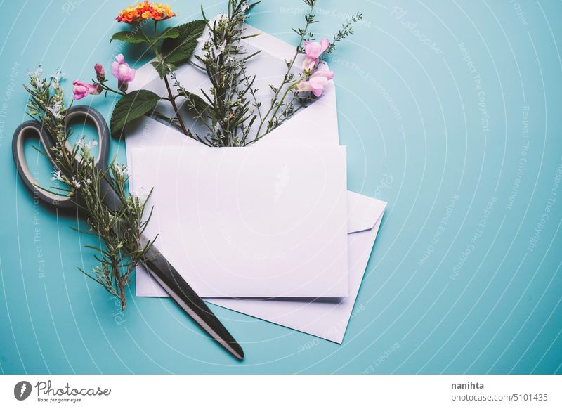 Floral wedding natural mockup with a white envelope filled with flowers floral background flat lay gardening blank blue spring springtime seasonal bouquet