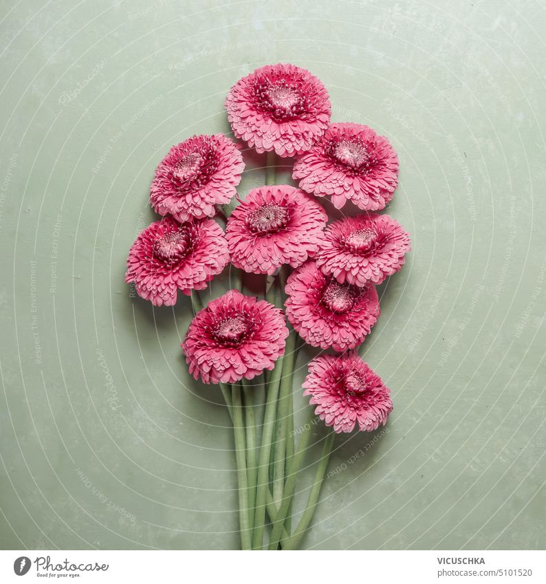 Bunch of pink flowers at green background, top view bunch beauty mother's day arrangement birthday minimalist blooming elegance anniversary bouquet flora