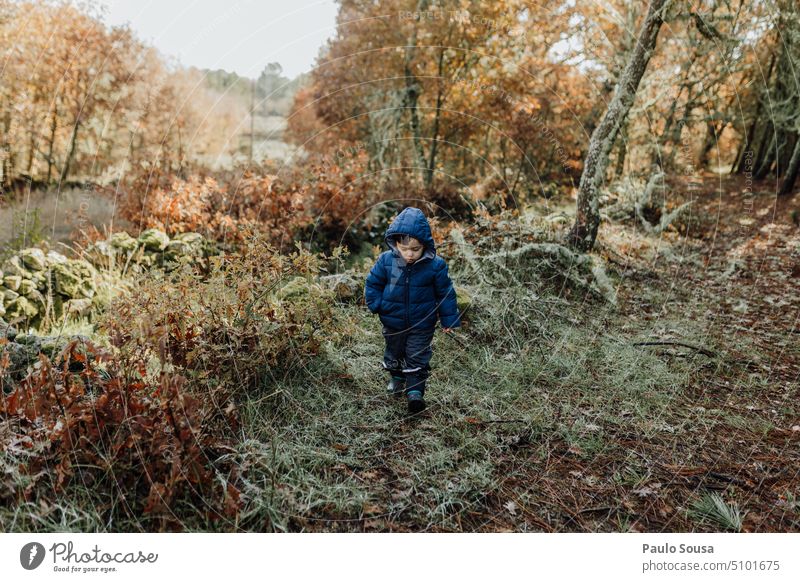 Cute Boy walking in the woods Boy (child) Child 1 - 3 years Walking warm Clothing Forest explore one person Caucasian Day Authentic Human being Colour photo Joy