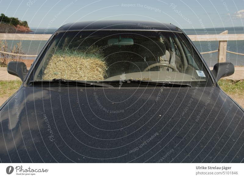 Straw bale passenger times differently Front seat passenger car Bale of straw Car Black Parking Means of transport Vehicle Motoring Parking lot Stupid Calm
