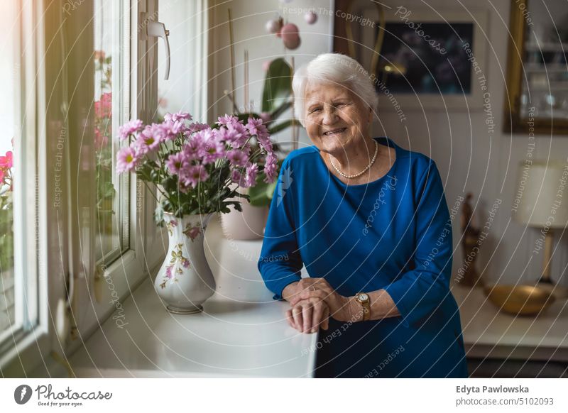 Portrait of an elderly woman in her home smiling happy enjoying positive people senior mature female house old aging domestic life grandmother pensioner retired
