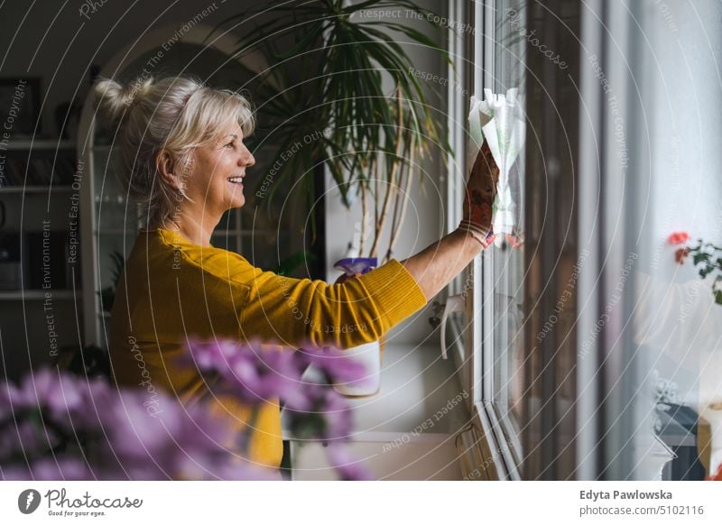 Mature woman cleaning windows in her home smiling happy enjoying positive people senior mature female elderly house old aging domestic life grandmother