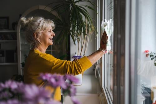 Mature woman cleaning windows in her home smiling happy enjoying positive people senior mature female elderly house old aging domestic life grandmother