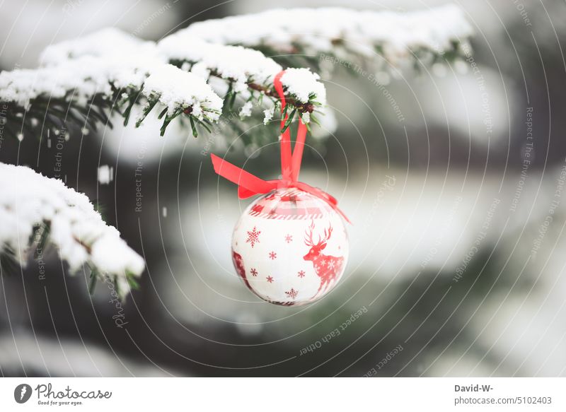 Christmas tree ball on a snowy fir tree in winter Winter Christmas & Advent Christmassy Festive Christmas decoration Christmas mood Feasts & Celebrations