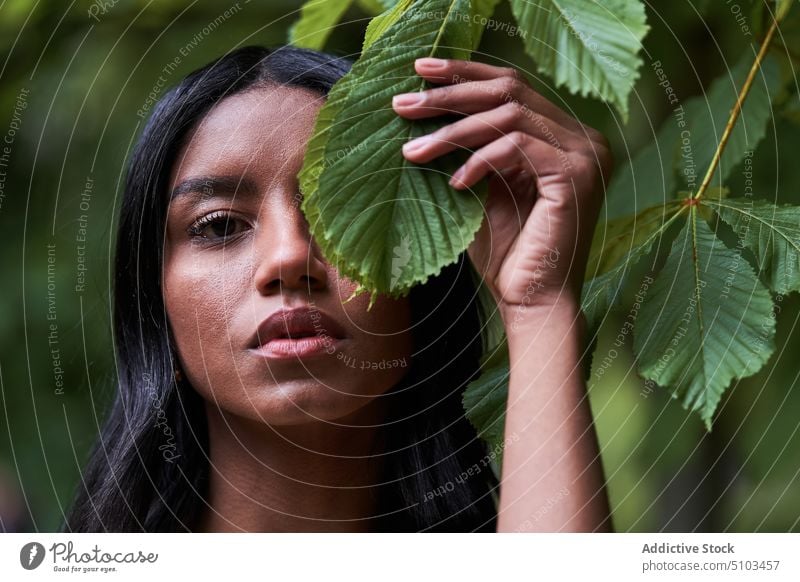 black woman covering eye with green leaf cover eye park summer tree touch branch portrait female young ethnic black hair flora foliage season personality