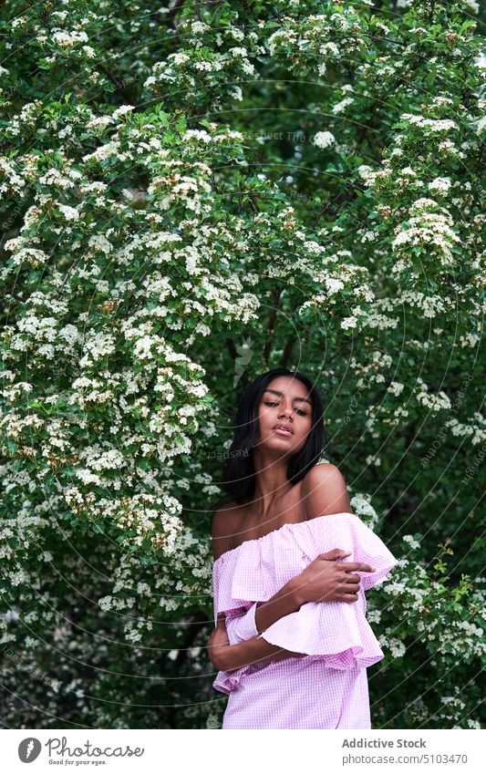 black woman amidst blooming branches tree flower lush park spring tender embrace weekend female young ethnic romantic summer calm brunette sensual blossom