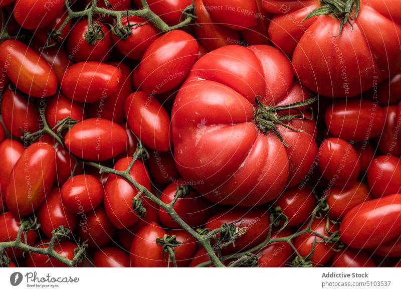 Ripe red tomatoes branch oval big small cardboard box raw background fresh vegetable healthy food vegetarian many delicious appetizing uncooked nourish culinary