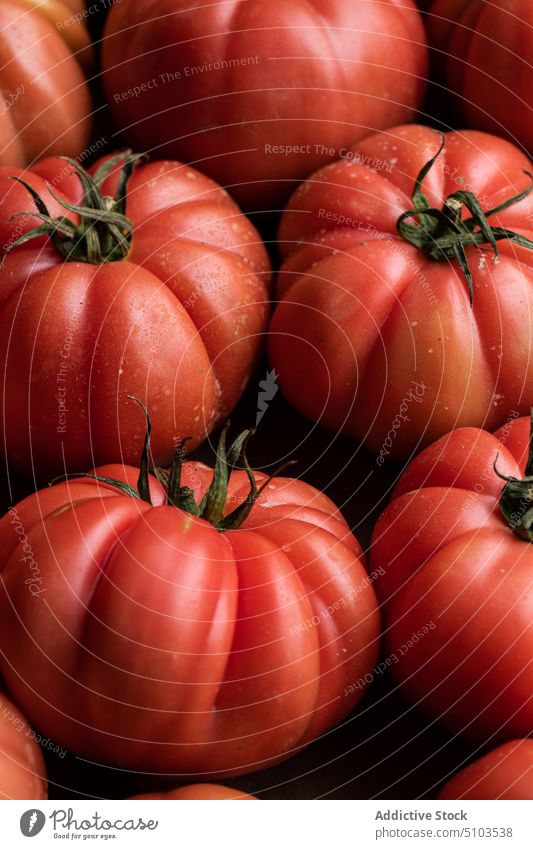 Ripe red tomatoes branch big cardboard box raw background fresh vegetable healthy food vegetarian many delicious appetizing uncooked nourish culinary vegan