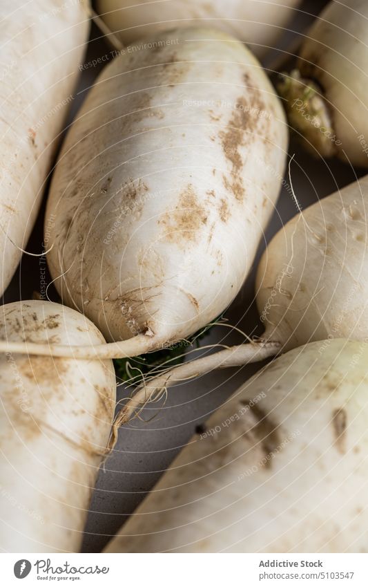 Raw daikon white radishes harvest vegetable uncooked background natural assorted many healthy food ripe vegetarian organic fresh palatable vitamin diet yummy
