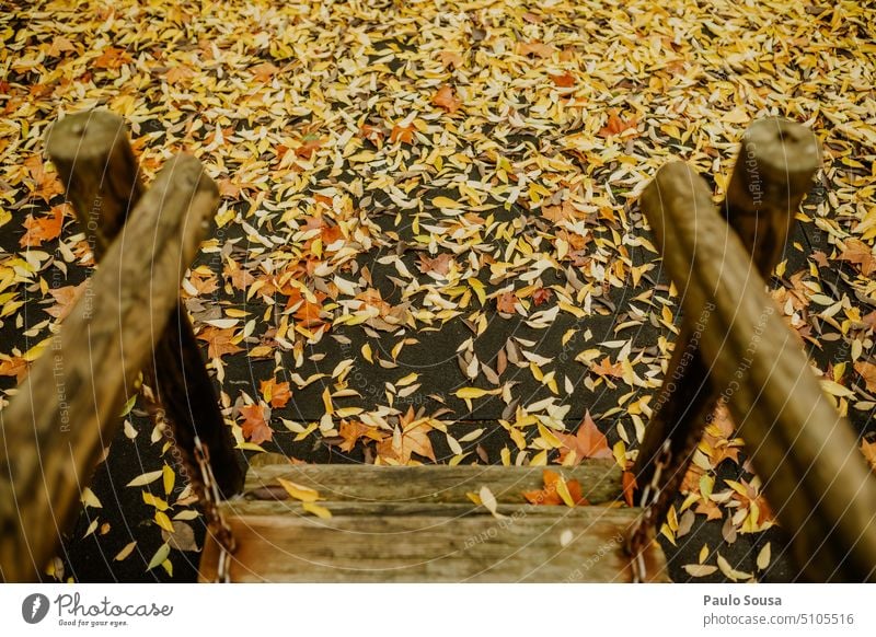 Wodden stairs with autumn leaves Yellow Stairs Autumn Autumnal Autumn leaves Autumnal colours fall Autumnal weather Transience Seasons autumn mood Early fall