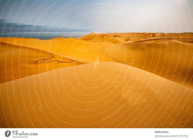 sea of sand Namibia Africa Desert Sand Ocean ocean wide Far-off places Wanderlust Longing travel Landscape Vacation & Travel Loneliness Adventure Sky Warmth