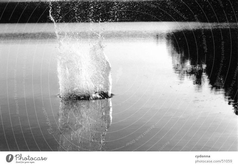 stone's throw Inject Impression Lake Black & white photo Water Landscape Nature Stone Throw Hollow Snapshot Splash