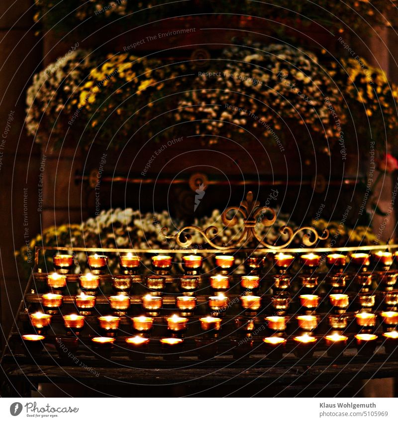 Mourning and memorial lights in Freiburg Cathedral on a rack in front of trees. It seems that many people feel the need to light a candle for those who were once dear to us. Me too.