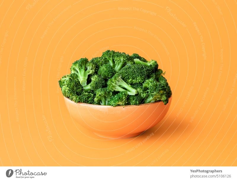 Cooked broccoli in a bowl isolated on an orange background. abundance banner boiled bright close-up color cooked cooking copy space cuisine cut out delicious