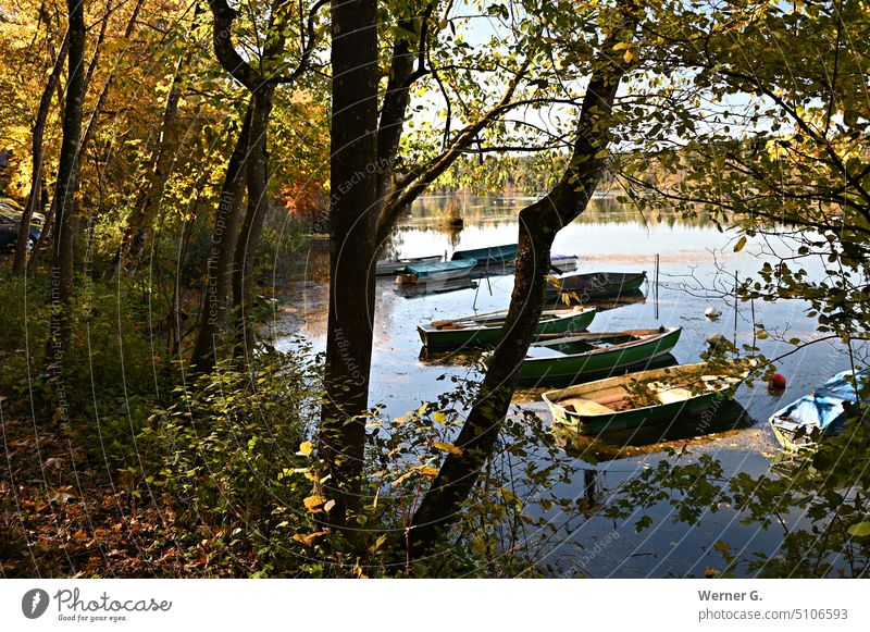 Rowing boats on the lake shore Nature Exterior shot Lake Calm Lakeside Water tranquillity Landscape Idyll Water reflection Beautiful weather Surface of water