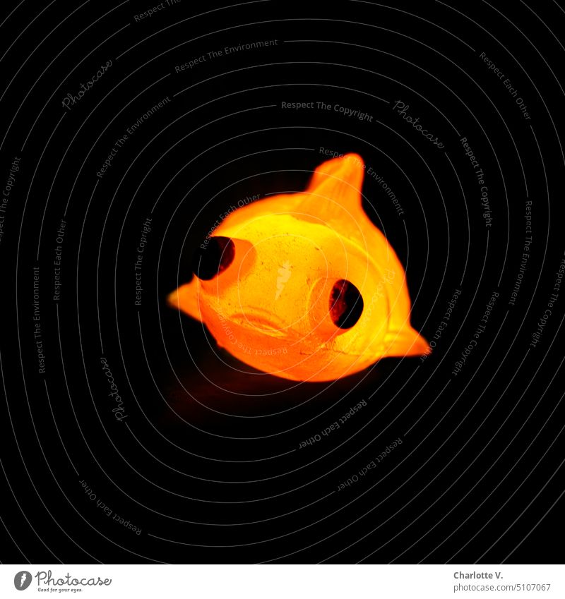 Luminous fish or lampion fish Fish Toy fish Toys Animal Colour photo Illuminate luminescent Bright Colours Orange Hover hovering phoney Artificial