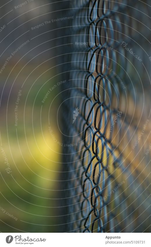 Close-up of wire fence in oblique top view against blurred colored background Wire fence Fence Wire netting Wire netting fence Border Fencing Barrier