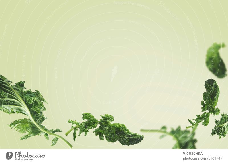 Flying kale leaves at green background. Border border flying cabbage raw vegetable organic ingredient curly vegan leaf food healthy