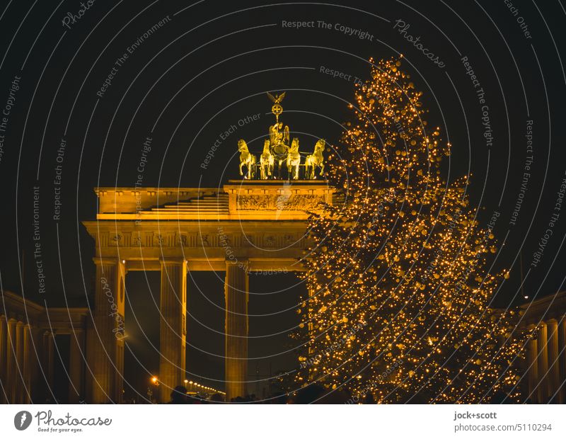 golden Brandenburg Gate illuminated with Christmas tree Night Landmark Tourist Attraction World heritage Capital city Light (Natural Phenomenon)