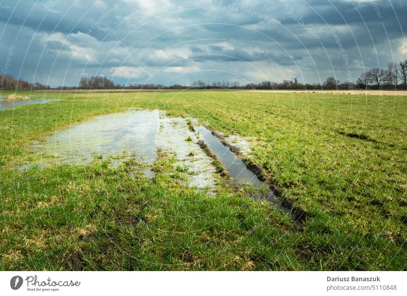 Water after rain on the meadow and cloudy sky field grass water rural green nature background landscape environment summer puddle season outdoor plant spring