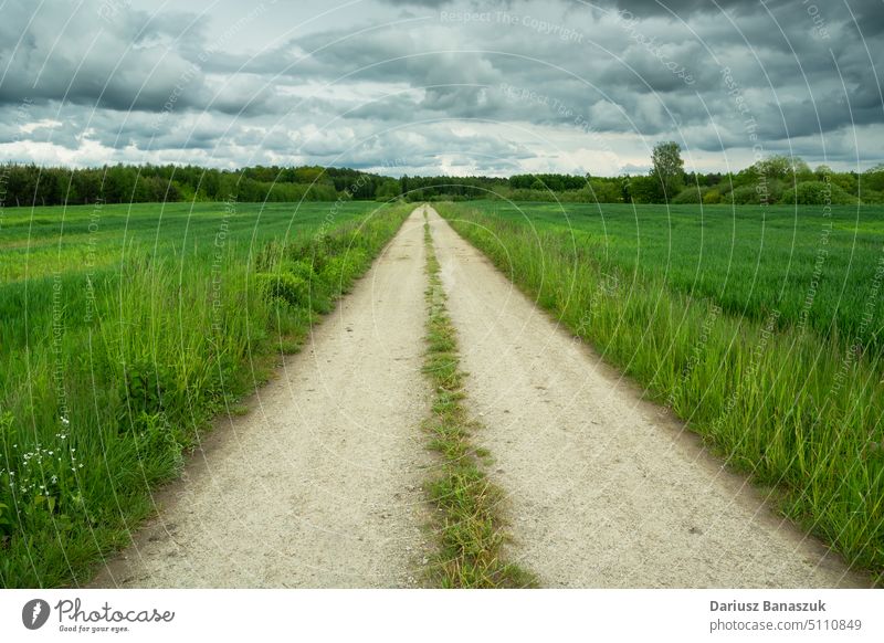 Dirt road through green fields and cloudy sky dirt horizon grass nature landscape cloudscape path rural country agriculture meadow weather countryside day farm