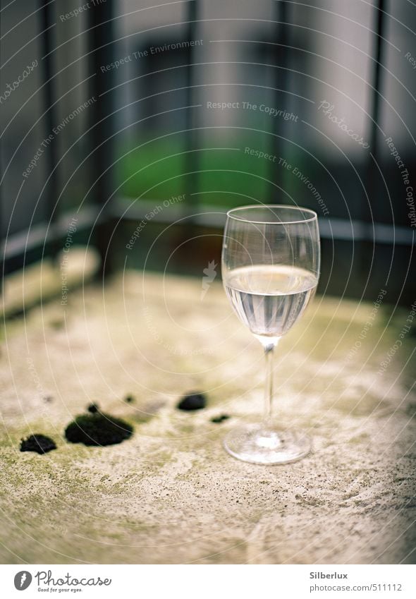 wineglass Beverage Drinking Alcoholic drinks Wine Glass Feasts & Celebrations Moss To dry up Simple Cold Near Gloomy Town Soft Sadness Concern Thirst Reluctance