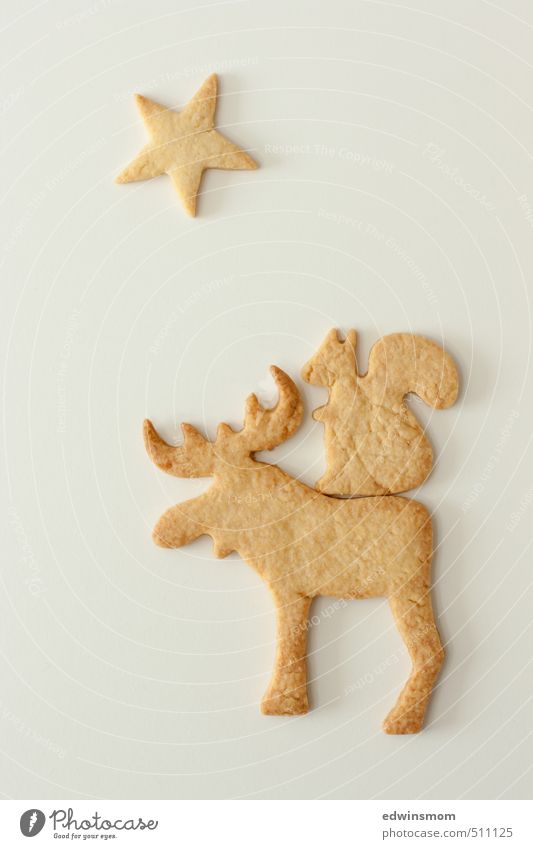 Christmas cookies :) Candy Cookie Feasts & Celebrations Winter Elk Squirrel 2 Animal Eating To enjoy Looking Delicious Cute Sweet Gold White Vice Anticipation