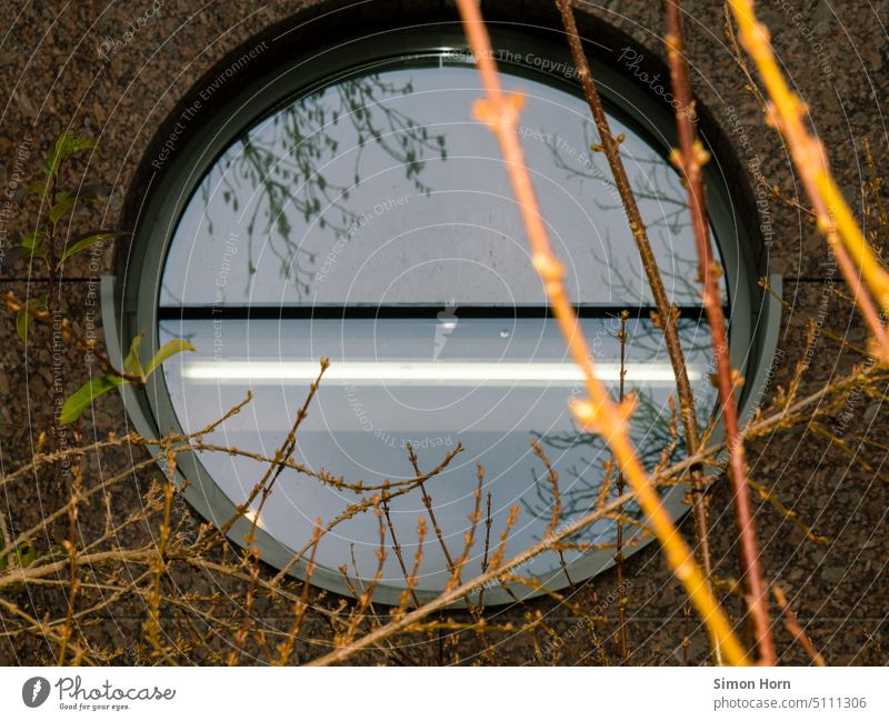 Porthole with fluorescent tube Round Fluorescent Lights observation Voyeurism inner life branches Laboratory mystery Observe Window Curiosity Eyes Spy Looking