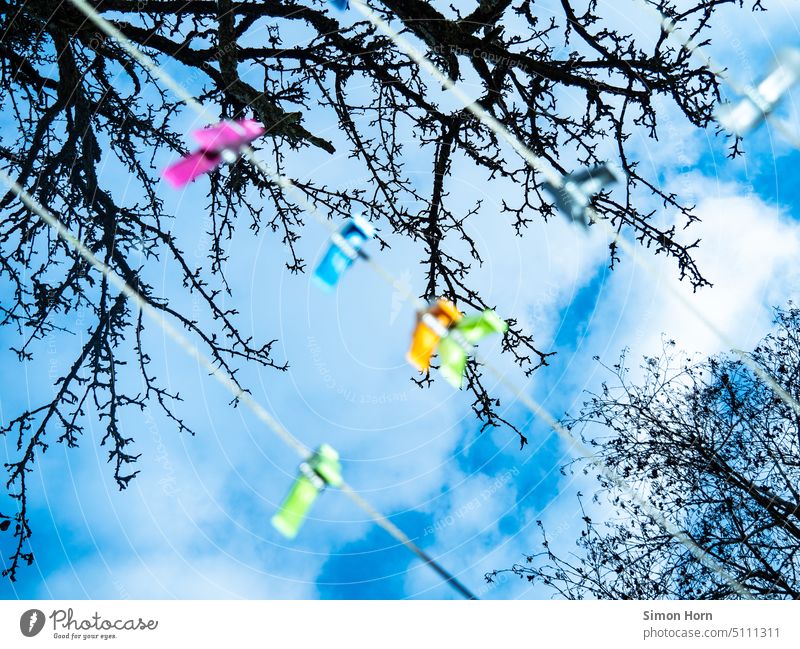 Color spots against blue sky Patch of colour variegated colourful Branches and twigs Bleak Contrast Environment Nature blurred blurriness Clothes peg Holder