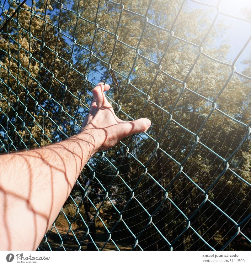 man hand grabbing metallic fence, feeling free arm body part skin shadow shapes fingers palm wrist steel street outdoors gesturing concept reaching life style