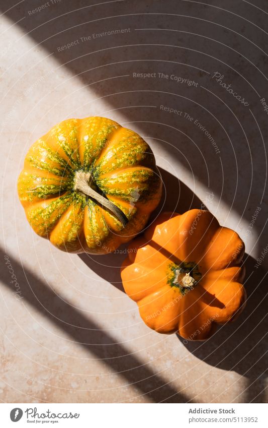 Ripe pumpkins placed on table in daylight vegetable fresh food harvest healthy food ripe kitchen vitamin sunlight season raw squash plant natural product whole
