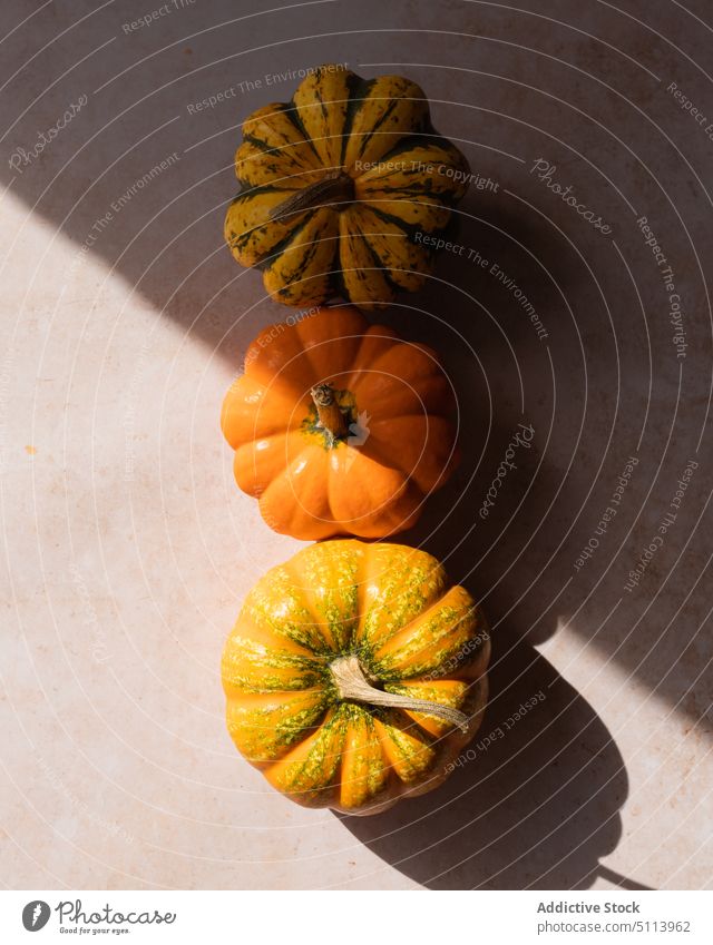 Ripe pumpkins placed on table in daylight vegetable fresh food harvest healthy food ripe kitchen vitamin sunlight season raw squash plant natural product whole