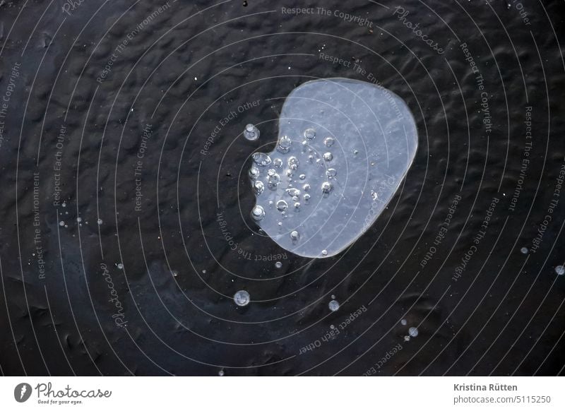 blow on the rocks Frozen surface Ice Lake Pond Body of water frozen inclusions Blow circles Round Pattern Abstract shape Organic Frost chill freezing cold Cold