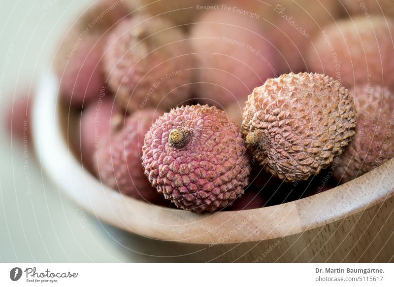 Litchis, lychee fruit in a bowl made of gum tree wood Lychee Fruit fruits Edible Tropical fruit subtropical tastily soap plants sapindaceae shell Wooden bowl