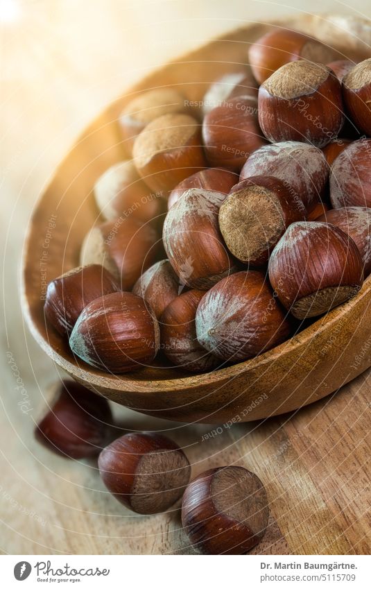 Hazelnuts in a wooden bowl hazelnuts Nut Lambertshasel Fruit fruits Food Dish Snack ingredient shallow depth of field Close-up Sunlight Diffuse Corylus maxima