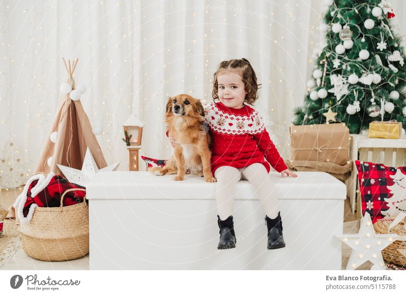 smiling child girl at home standing with dog during christmas time present decoration indoors december happy smile adorable cute star santa gifts year