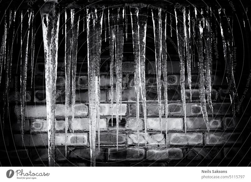Christmas carrots. icicle icicles ice cone stalactite water hard water falling safe dangerous many frozen cold winter melting dripping mono monochrome roof