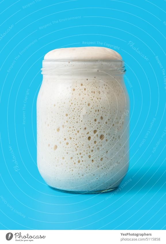 Sourdough starter in a jar, isolated on a blue background active bakery baking bread bright bubbles close-up color concept container cooking cuisine diet